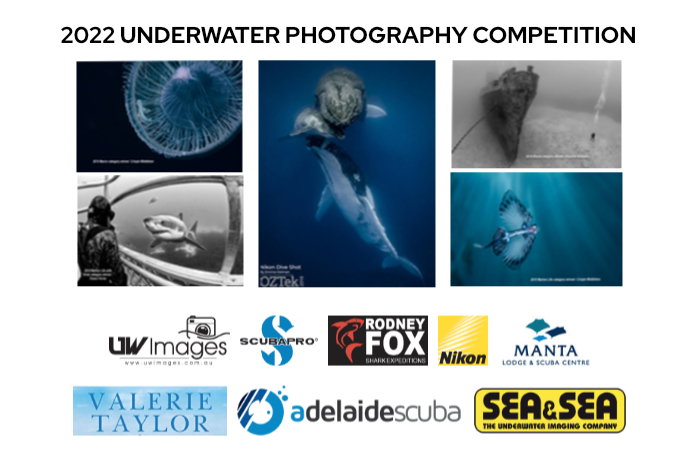Underwater Photography Competition 2022 Details now available